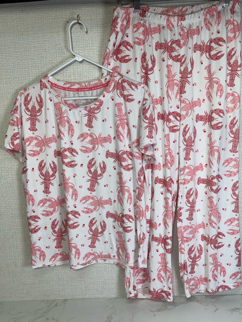 Joyspun 2 pc Lobster Pajamas Set Womens L Dreamy Soft Stretch Pant Top Sleep PJs